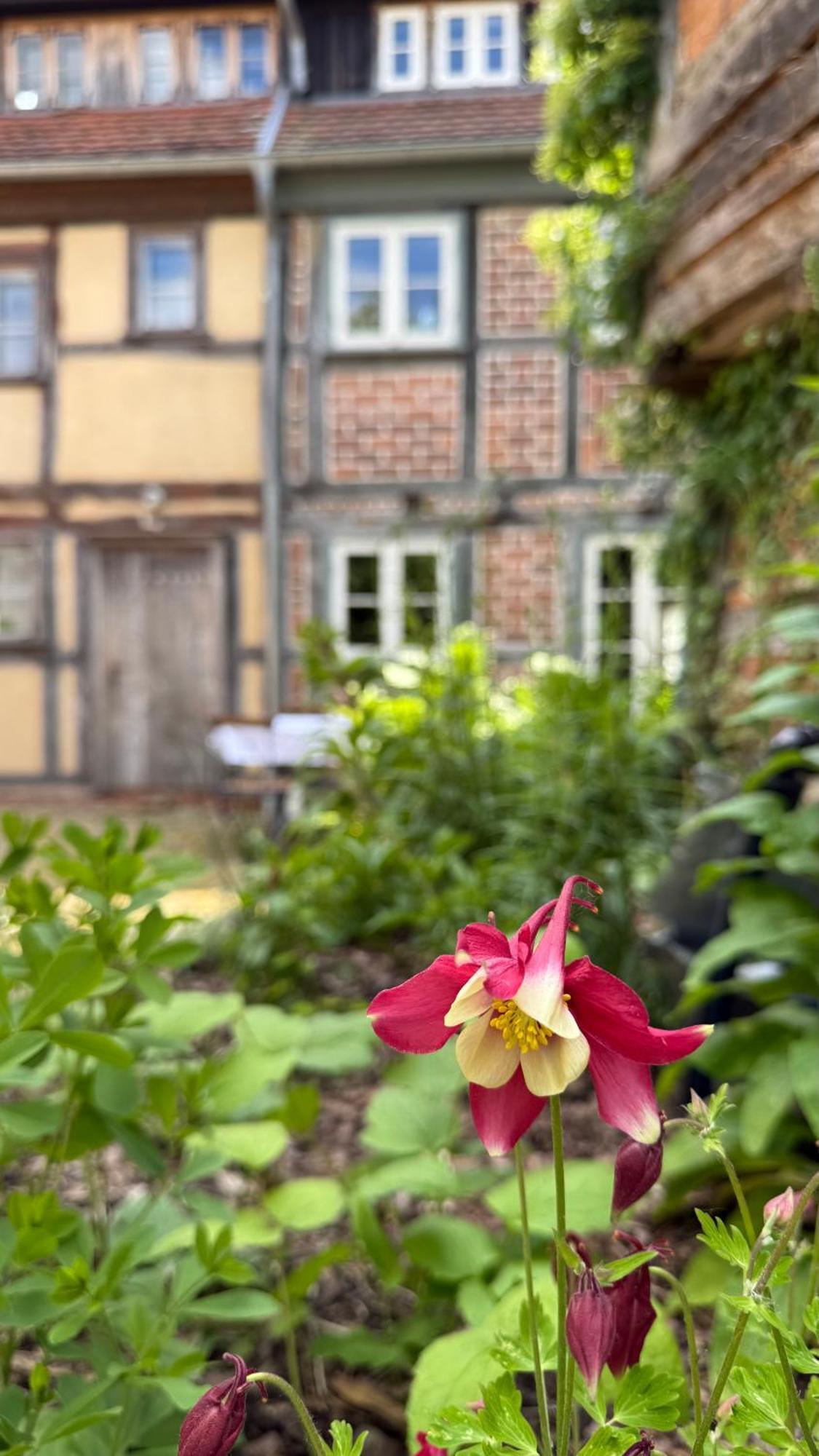 Ferienhaus St. Johannis Werben  المظهر الخارجي الصورة